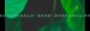 拉布拉多肚子右侧大包怎么办紧急求助医生检查后确诊这4种可能原因
