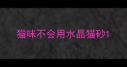 猫咪不会用水晶猫砂