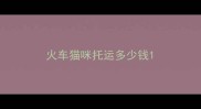 火车猫咪托运多少钱