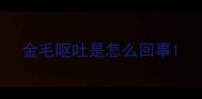 金毛呕吐是怎么回事