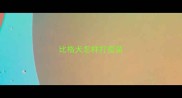 比格犬怎样打疫苗