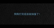 狗狗打完疫苗就抽搐了