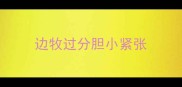 边牧过分胆小紧张