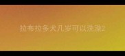 拉布拉多犬几岁可以洗澡