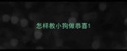 怎样教小狗做恭喜