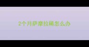 2个月萨摩拉稀怎么办