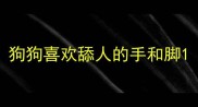 狗狗喜欢舔人的手和脚