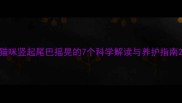 猫咪竖起尾巴摇晃的7个科学解读与养护指南