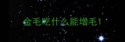 金毛吃什么能增毛