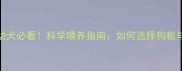 2个月泰迪幼犬必看科学喂养指南如何选择狗粮与注意事项
