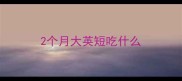 2个月大英短吃什么