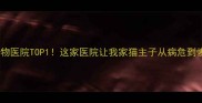 西安口碑宠物医院TOP1这家医院让我家猫主子从病危到恢复全记录