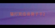 猫打完疫苗鼻子干