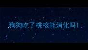 狗狗吃了桃核能消化吗