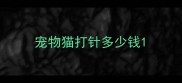 宠物猫打针多少钱