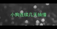 小狗连续几天抽搐