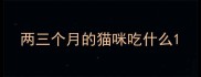 两三个月的猫咪吃什么