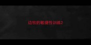 边牧的敏捷性训练