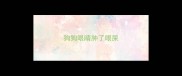 狗狗眼睛肿了眼屎