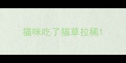 猫咪吃了猫草拉稀