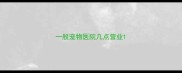 一般宠物医院几点营业