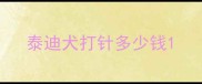 泰迪犬打针多少钱
