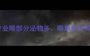 泰迪犬流泪怎么办专业眼部分泌物多眼角发红等常见问题及护理指南