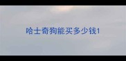 哈士奇狗能买多少钱