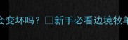 边牧不训练会变坏吗新手必看边境牧羊犬驯养全攻略
