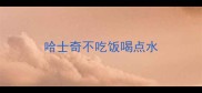 哈士奇不吃饭喝点水
