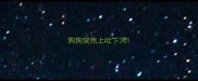 狗狗突然上吐下泻
