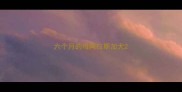 六个月的母阿拉斯加犬