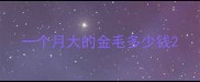 一个月大的金毛多少钱