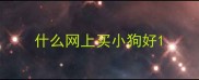 什么网上买小狗好