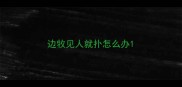 边牧见人就扑怎么办