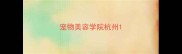 宠物美容学院杭州