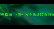 泰迪幼犬科学喂养指南4周-1岁全阶段喂食时间表与注意事项