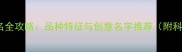 白色哈士奇起名全攻略品种特征与创意名字推荐附科学命名指南