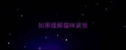 如果缓解猫咪紧张