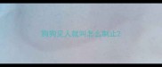 狗狗见人就叫怎么制止