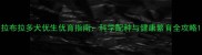 拉布拉多犬优生优育指南科学配种与健康繁育全攻略