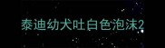 泰迪幼犬吐白色泡沫