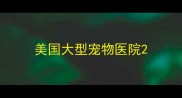 美国大型宠物医院