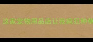 北京必逛这家宠物用品店让我疯狂种草的真相