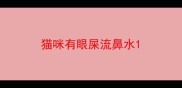 猫咪有眼屎流鼻水