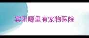 宾阳哪里有宠物医院