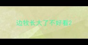 边牧长大了不好看