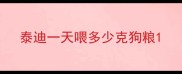 泰迪一天喂多少克狗粮