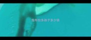 拉布拉多孩子多少钱