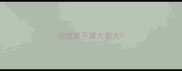 边牧算不算大型犬
